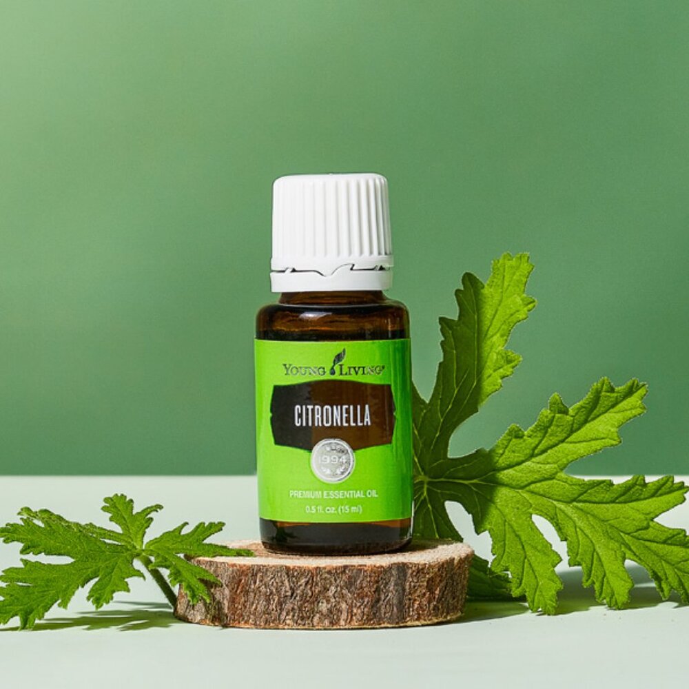 NEW Young Living 15 ml Citronella Essential Oil